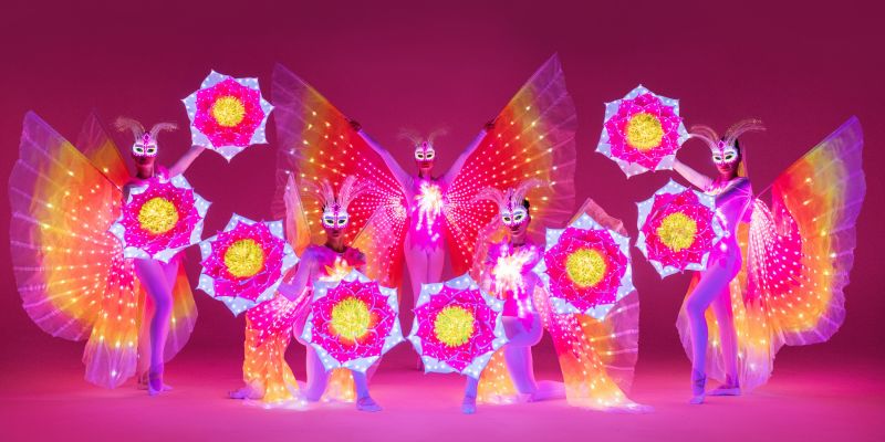 Světelná taneční show - Světelná taneční show