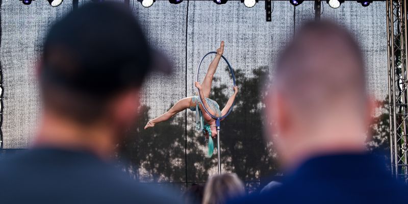 Aliatrix - visual entertainment agency