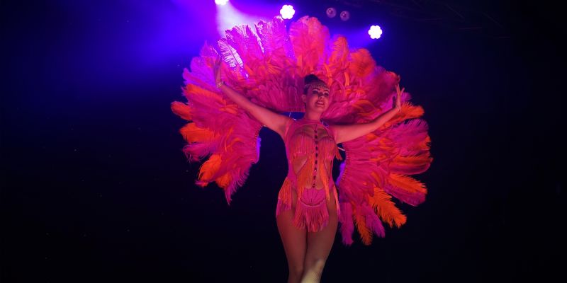 Martina's Agency – Show program pro firemní akce - Latino večer