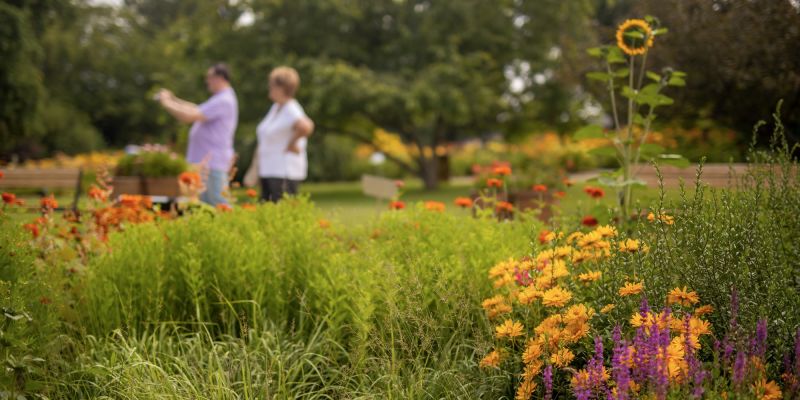 Botanická zahrada hl.m. Prahy - Ornamentální zahrada