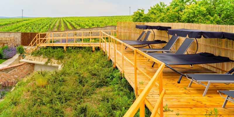 Apartmány a vinařství BUCHTOVÍN