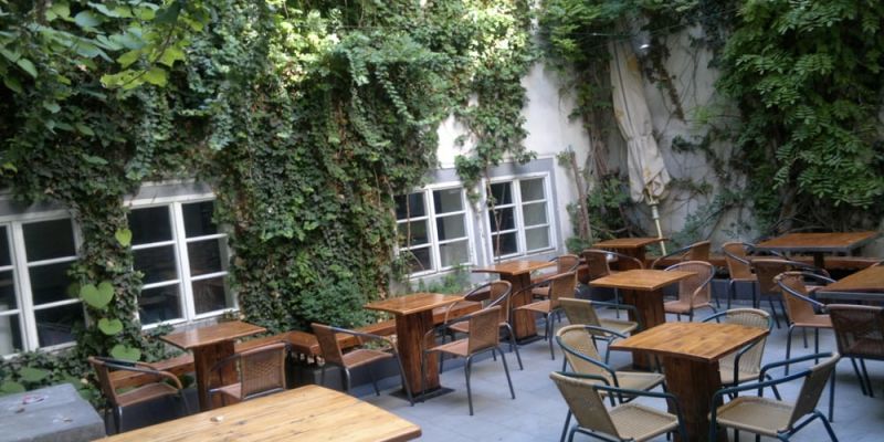 NAPA bar and gallery