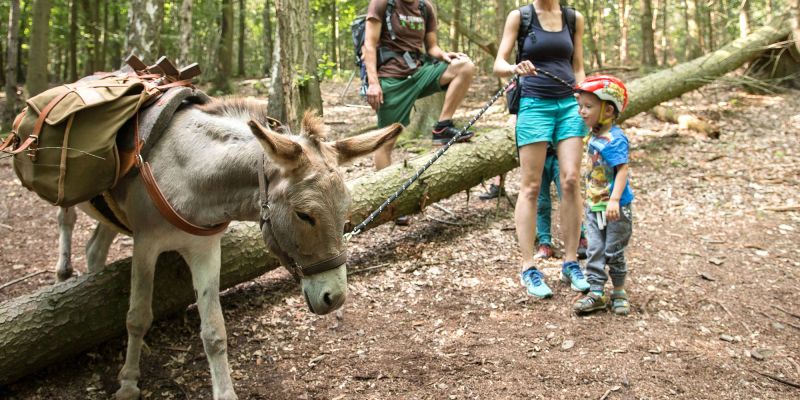 Využijte své motivační schopnosti jako (oslo)vůdce