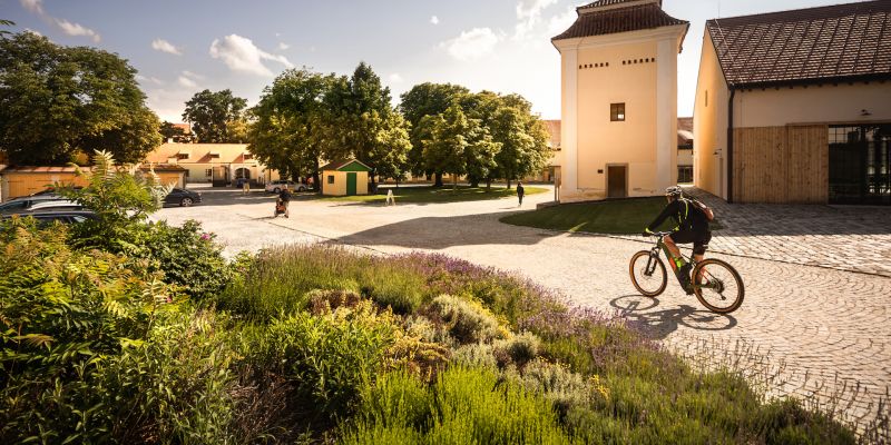 Panský dvůr Telč - Dvůr