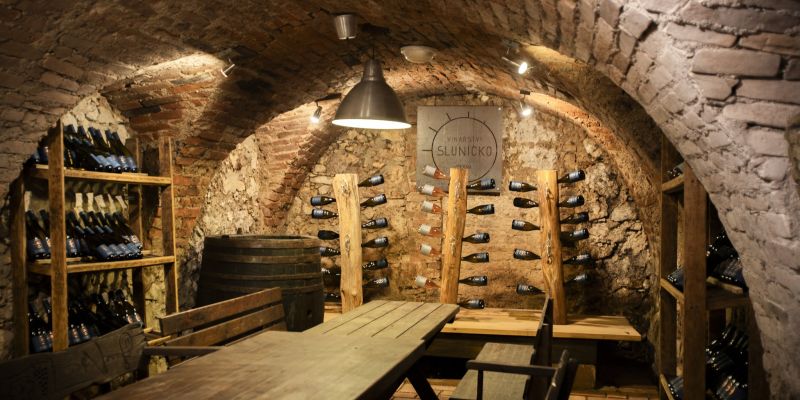 Amenity Penzion Horní Věstonice - AMENITY APARTMÁNY PERNÁ (dependance)