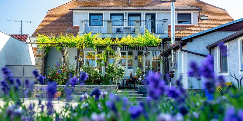 Amenity Penzion Horní Věstonice - AMENITY APARTMÁNY PERNÁ (dependance)