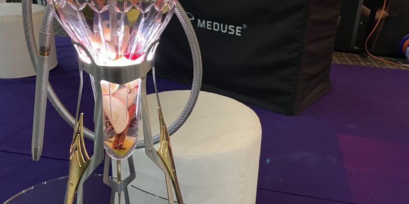 Vánoční večírek s MEDUSE shisha cateringem