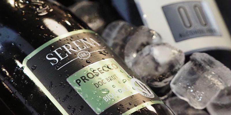 Nově zrekonstruovaný Molo bar na Občanské plovárně