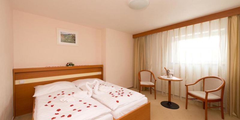 Hotel Svratka