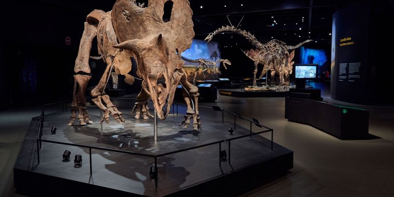 POP Airport - Dinosauria Muzeum Prague