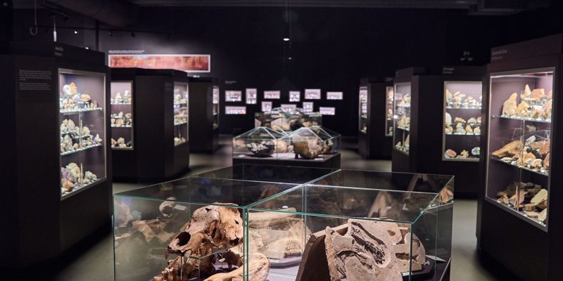 POP Airport - Dinosauria Muzeum Prague