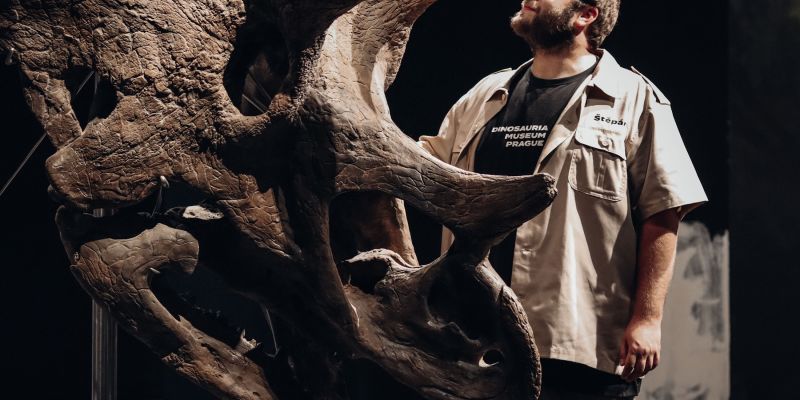 POP Airport - Dinosauria Muzeum Prague