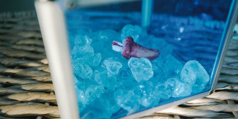 Zachraňte prst - Zachraňte prst