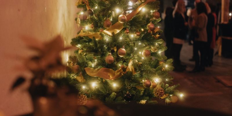 Smysluplné věci vznikají v klidu a z přirozené potřeby se potkat