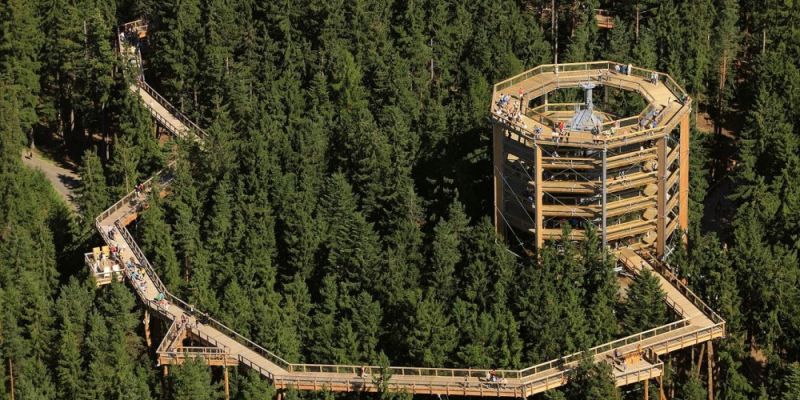 Stezka korunami stromů Lipno