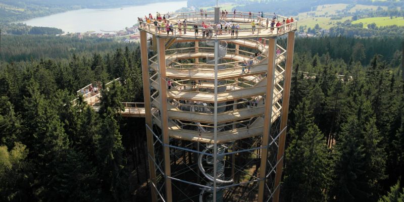 Stezka korunami stromů Lipno