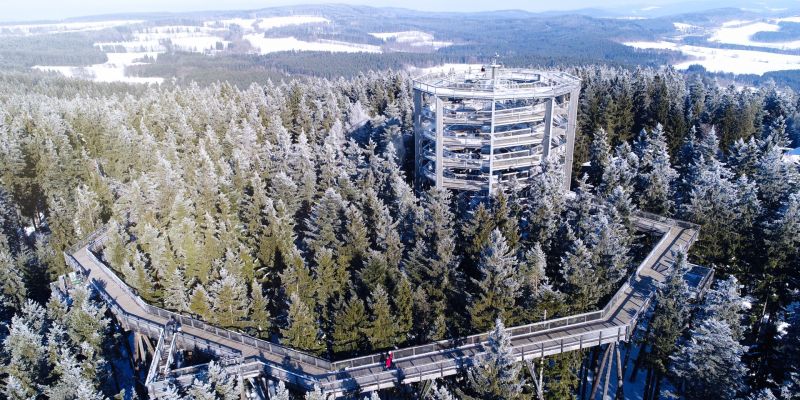 Stezka korunami stromů Lipno