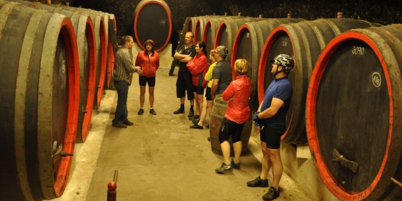 Ústecký Region Convention Bureau - Organizace FAM/Press tripů, Discovery a Inspection Tours