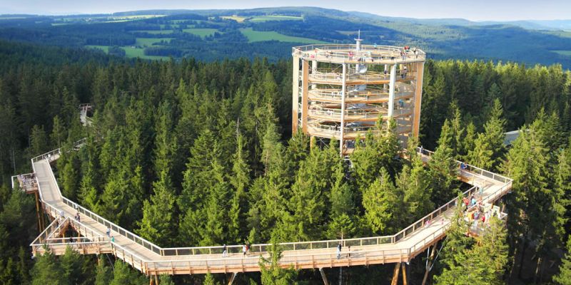 Stezka korunami stromů Lipno