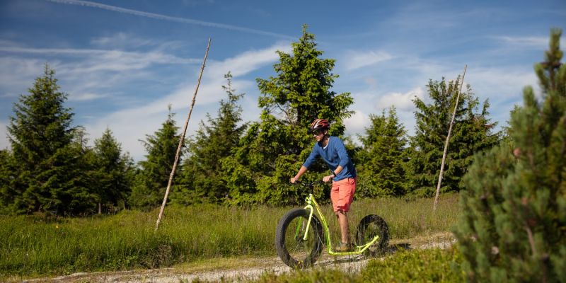 Wellness hotel Windsor - nejlepší volba pro uspořádání konference i teambuilding