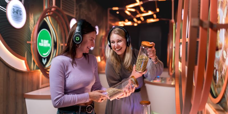 The Original Beer Experience