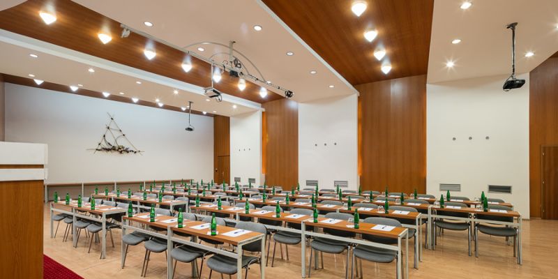 Amande Wine Wellness Hotel - Velký konferenční sál