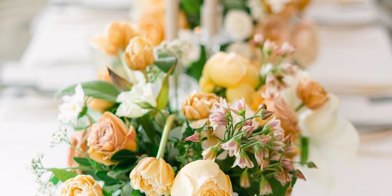 Villa Beatika - Villa Beatika - svatby