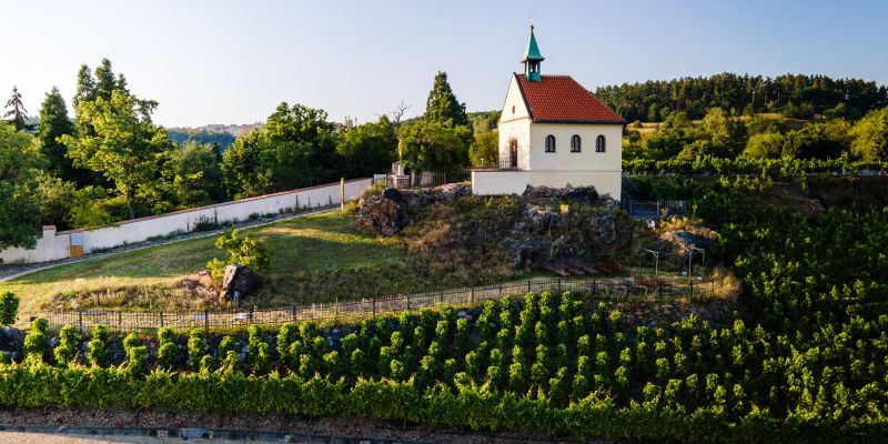 Botanická zahrada Praha