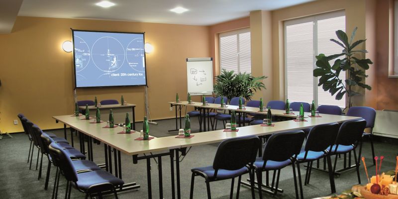 Wellness Hotel Frymburk - VIP salónek