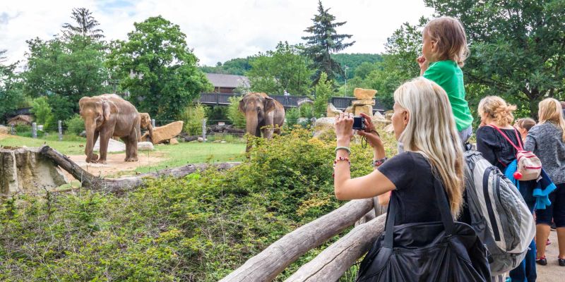 Zoologická zahrada hl. m. Prahy