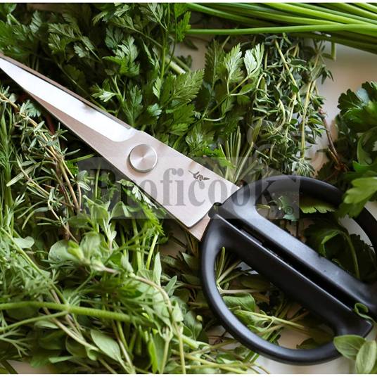 Kai Michael Bras kitchen shears 20cm