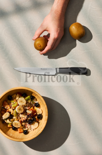 Wüsthof PARTNER 16 cm Utility Knife