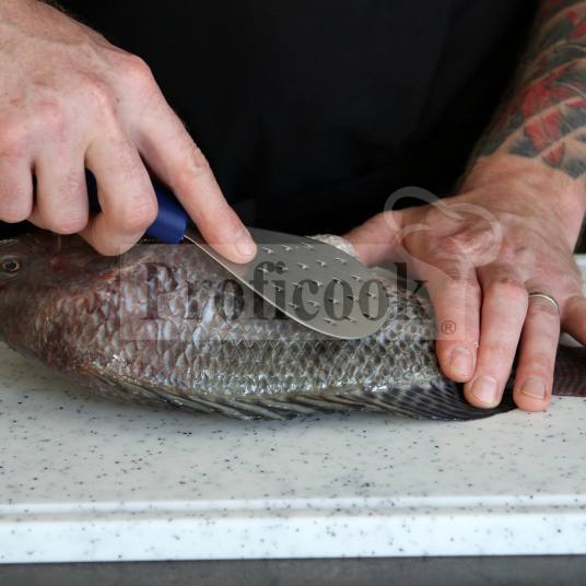 F. Dick fish scale peeler