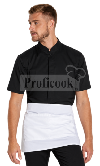 Mandarin Collar men shirt