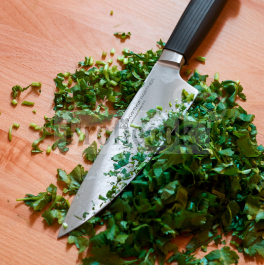 Wüsthof PARTNER Chef's Knife, 20 cm