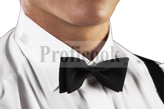 Bow tie glossy